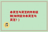 赤灵芝与灵芝的外形区别(如何区分赤灵芝与灵芝？)
