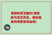发财树灵芝图片(发财树与灵芝共生，美轮美奂的场景犹如仙境)