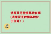 清原灵芝种植基地在哪(清原灵芝种植基地位于何处？)