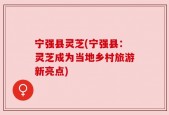宁强县灵芝(宁强县：灵芝成为当地乡村旅游新亮点)