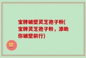 宝牌破壁灵芝孢子粉(宝牌灵芝孢子粉，添助你破壁前行)