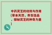 中药灵芝的功效与作用(草本天然，养生佳品，探秘灵芝的神奇力量)