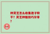 种灵芝怎么收集孢子粉干？灵芝种植技巧分享？