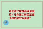灵芝孢子粉推荐语录图片？让你更了解灵芝孢子粉的功效与用途？