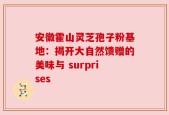 安徽霍山灵芝孢子粉基地：揭开大自然馈赠的美味与 surprises