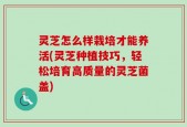 灵芝怎么样栽培才能养活(灵芝种植技巧，轻松培育高质量的灵芝菌盖)