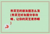 养灵芝的朋友圈怎么发(养灵芝好友圈分享攻略，让你的灵芝更养眼)