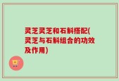 灵芝灵芝和石斛搭配(灵芝与石斛组合的功效及作用)