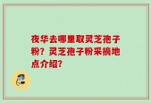 夜华去哪里取灵芝孢子粉？灵芝孢子粉采摘地点介绍？