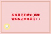 买海灵芝的地方(哪里能购买正宗海灵芝？)