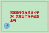 灵芝孢子怎样清洁才干净？灵芝出了孢子能浇水吗