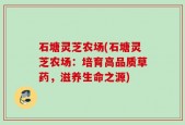 石塘灵芝农场(石塘灵芝农场：培育高品质草药，滋养生命之源)