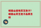 峨眉山道地灵芝孢子？峨眉山灵芝孢子品质怎样