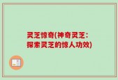 灵芝惊奇(神奇灵芝：探索灵芝的惊人功效)