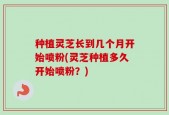 种植灵芝长到几个月开始喷粉(灵芝种植多久开始喷粉？)