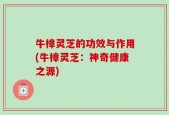 牛樟灵芝的功效与作用(牛樟灵芝：神奇健康之源)