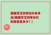西藏灵芝到索松村有多远(西藏灵芝到索松村的距离是多少？)