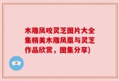 木雕凤咬灵芝图片大全集精美木雕凤凰与灵芝作品欣赏，图集分享)