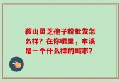 鞍山灵芝孢子粉批发怎么样？在你眼里，本溪是一个什么样的城市？