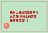 桃树上长的灵芝属于什么灵芝(桃树上的灵芝是哪种灵芝？)