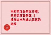 天府灵芝谷景区介绍(天府灵芝谷景区 – 神秘古木与迷人灵芝的旅程