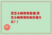 灵芝小杨哥哥是谁(灵芝小杨哥哥的身份是什么？)
