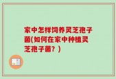 家中怎样饲养灵芝孢子菌(如何在家中种植灵芝孢子菌？)