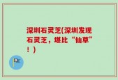 深圳石灵芝(深圳发现石灵芝，堪比“仙草”！)