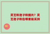 灵芝粉孢子粉图片？灵芝孢子粉在哪里能买到