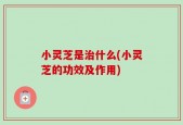 小灵芝是治什么(小灵芝的功效及作用)