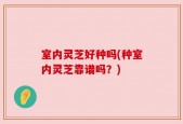 室内灵芝好种吗(种室内灵芝靠谱吗？)