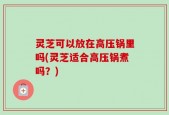 灵芝可以放在高压锅里吗(灵芝适合高压锅煮吗？)