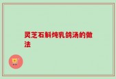 灵芝石斛炖乳鸽汤的做法