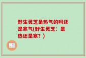野生灵芝是热气的吗还是寒气(野生灵芝：是热还是寒？)