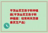 平顶山灵芝孢子粉种植园(平顶山灵芝孢子粉种植园：培育纯天然健康灵芝产品)
