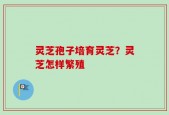 灵芝孢子培育灵芝？灵芝怎样繁殖