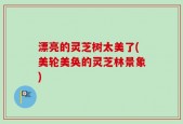 漂亮的灵芝树太美了(美轮美奂的灵芝林景象)