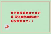 灵芝蟹养殖用什么水好养(灵芝蟹养殖最适合的水质是什么？)