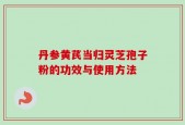 丹参黄芪当归灵芝孢子粉的功效与使用方法