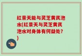 红景天能与灵芝黄芪泡水(红景天与灵芝黄芪泡水对身体有何益处？)