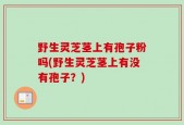 野生灵芝茎上有孢子粉吗(野生灵芝茎上有没有孢子？)