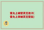 雷允上破壁灵芝孢子(雷允上突破灵芝壁垒)