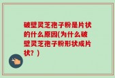 破壁灵芝孢子粉是片状的什么原因(为什么破壁灵芝孢子粉形状成片状？)