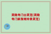 灵隐寺门口灵芝(灵隐寺门前发现珍贵灵芝)