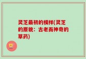 灵芝最初的模样(灵芝的原貌：古老而神奇的草药)
