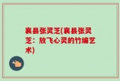 襄县张灵芝(襄县张灵芝：放飞心灵的竹编艺术)