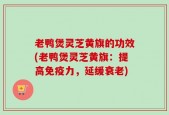 老鸭煲灵芝黄旗的功效(老鸭煲灵芝黄旗：提高免疫力，延缓衰老)