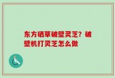 东方硒草破壁灵芝？破壁机打灵芝怎么做