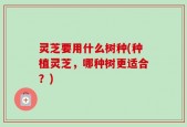 灵芝要用什么树种(种植灵芝，哪种树更适合？)