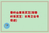 秦岭山里采灵芝(探秦岭采灵芝：长寿之谷寻奇迹)